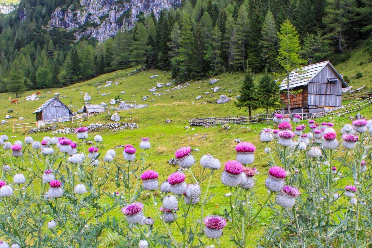 Cottage House Podgosar Bled Pokljuka Kültér fotó